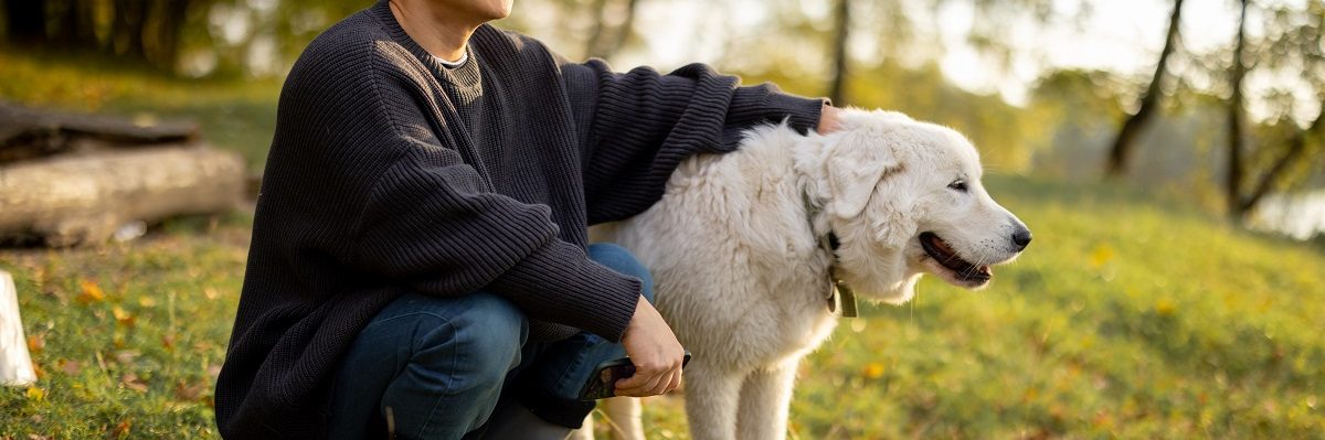 MAT Therapy Buprenorphine Treatment